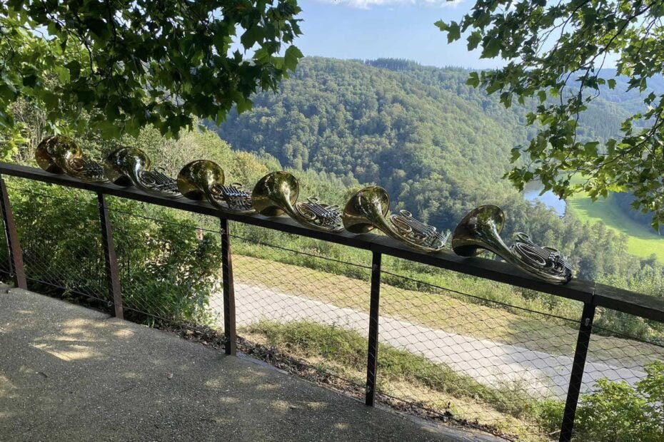 6 hoorns op de foto voor een mooi uitzicht.