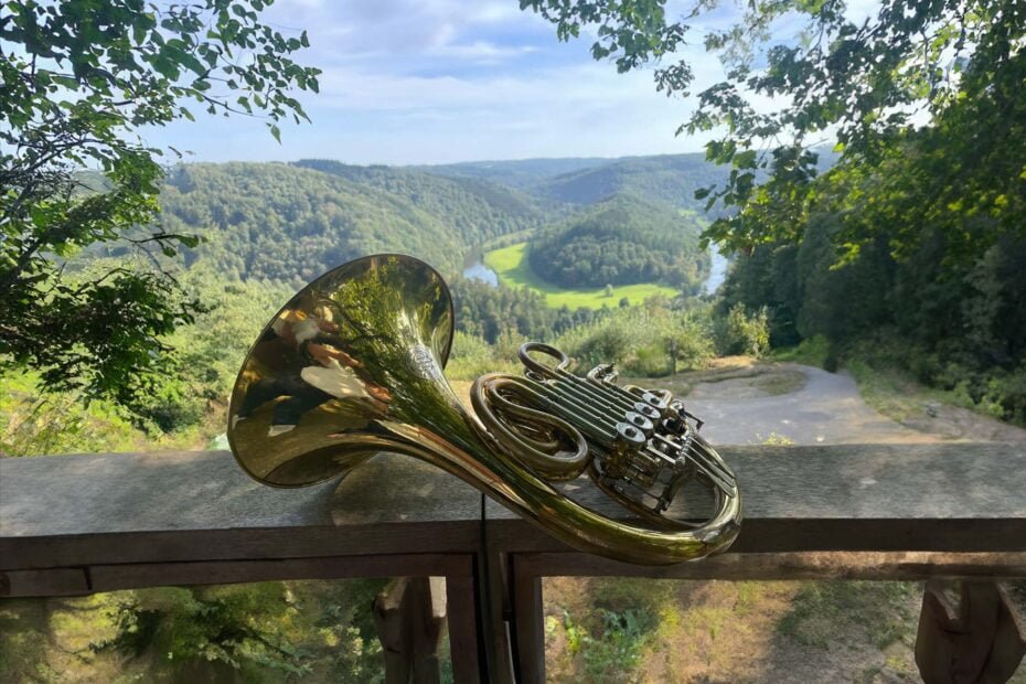 Klassieke french horn op de foto van the horn revival met een mooi uitzicht